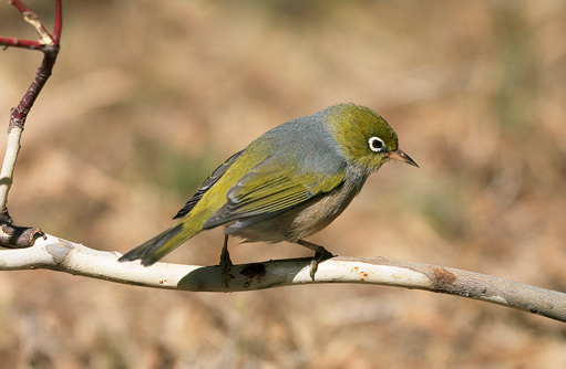 Free HTML5 template by FREEHTML5.co