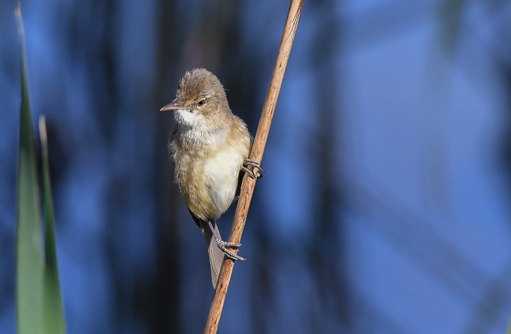 Free HTML5 template by FREEHTML5.co