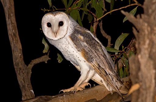 Free HTML5 template by FREEHTML5.co