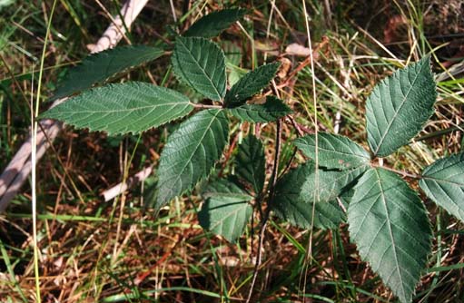 Free HTML5 template by FREEHTML5.co