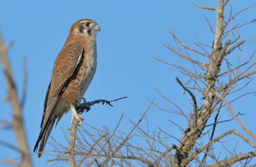 Free HTML5 template by FREEHTML5.co