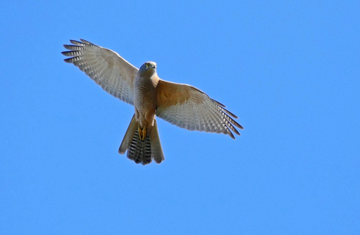 Free HTML5 template by FREEHTML5.co