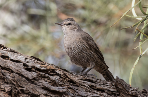 Free HTML5 template by FREEHTML5.co