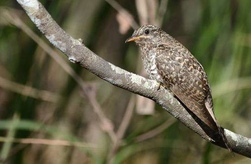 Free HTML5 template by FREEHTML5.co