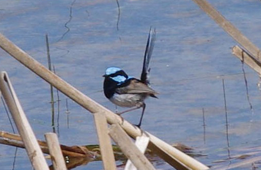 Free HTML5 template by FREEHTML5.co