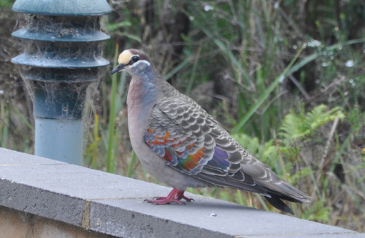 Free HTML5 template by FREEHTML5.co