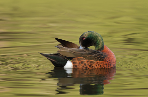 Free HTML5 template by FREEHTML5.co