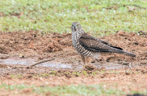 Free HTML5 template by FREEHTML5.co