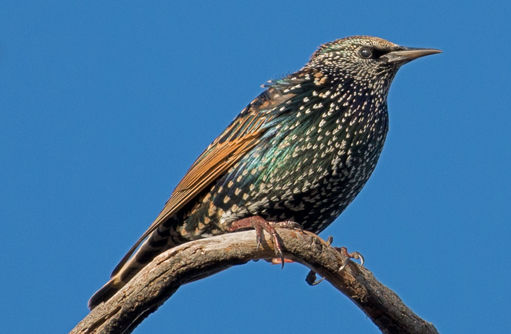 Free HTML5 template by FREEHTML5.co