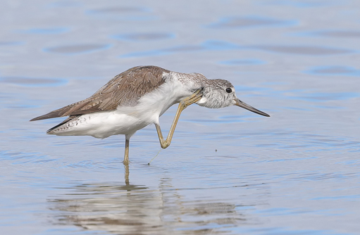 Free HTML5 template by FREEHTML5.co