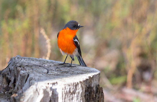 Free HTML5 template by FREEHTML5.co