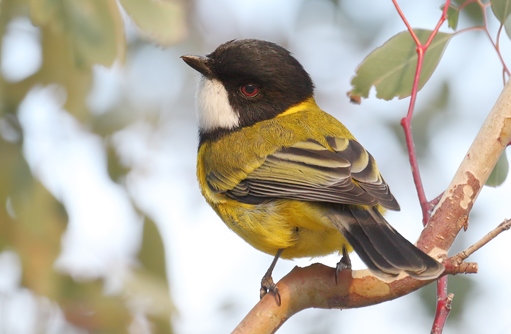 Free HTML5 template by FREEHTML5.co