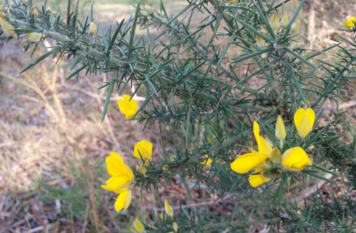 Free HTML5 template by FREEHTML5.co