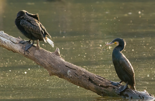 Free HTML5 template by FREEHTML5.co