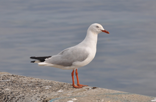 Free HTML5 template by FREEHTML5.co