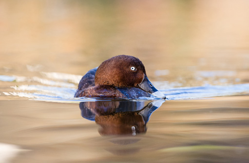 Free HTML5 template by FREEHTML5.co