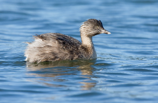 Free HTML5 template by FREEHTML5.co