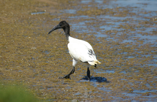 Free HTML5 template by FREEHTML5.co