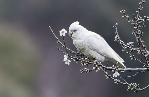 Free HTML5 template by FREEHTML5.co