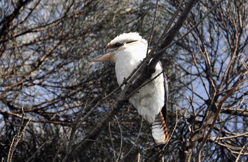 Free HTML5 template by FREEHTML5.co