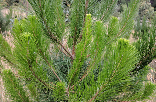 Free HTML5 template by FREEHTML5.co