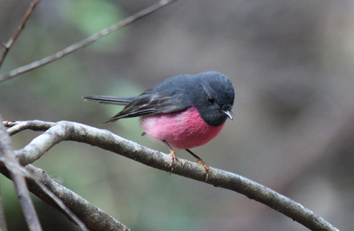 Free HTML5 template by FREEHTML5.co