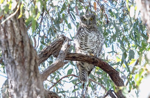 Free HTML5 template by FREEHTML5.co