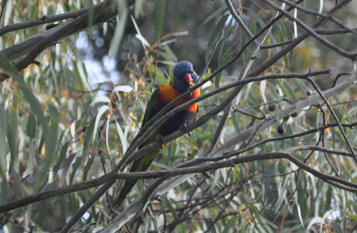 Free HTML5 template by FREEHTML5.co