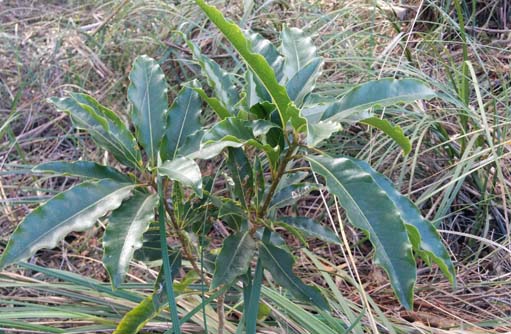 Free HTML5 template by FREEHTML5.co