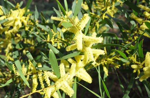 Free HTML5 template by FREEHTML5.co