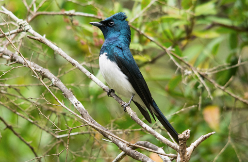 Free HTML5 template by FREEHTML5.co