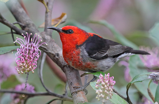 Free HTML5 template by FREEHTML5.co