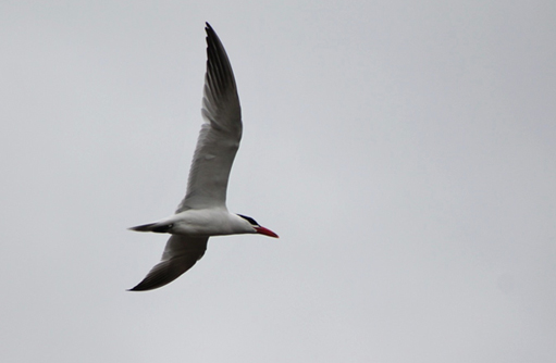 Free HTML5 template by FREEHTML5.co