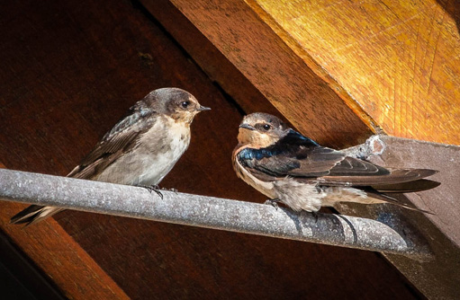 Free HTML5 template by FREEHTML5.co