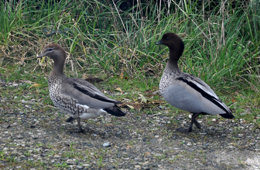 Free HTML5 template by FREEHTML5.co