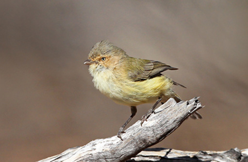 Free HTML5 template by FREEHTML5.co