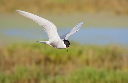 Free HTML5 template by FREEHTML5.co