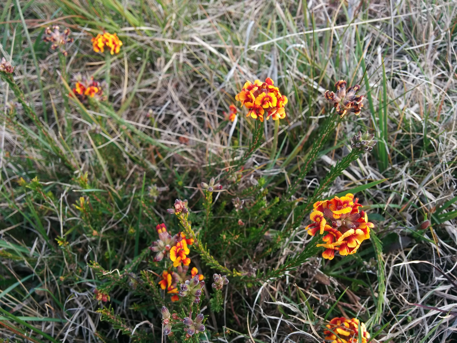 Free HTML5 Bootstrap Template